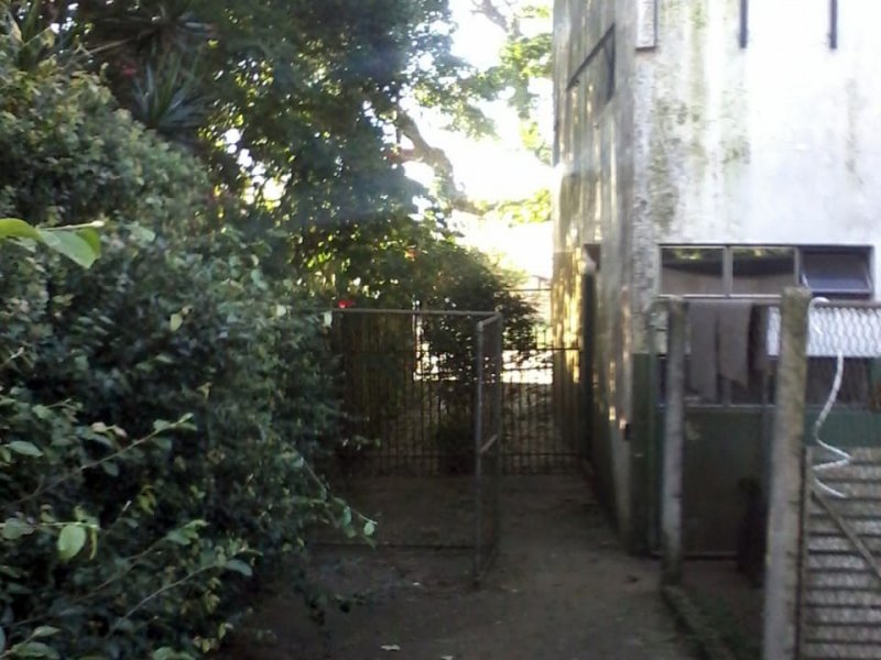 Terreno à venda Cristo Rei com 427m² e  quartos por R$ 1.000.000 - 1223222160-img-20190806-wa0003.jpg