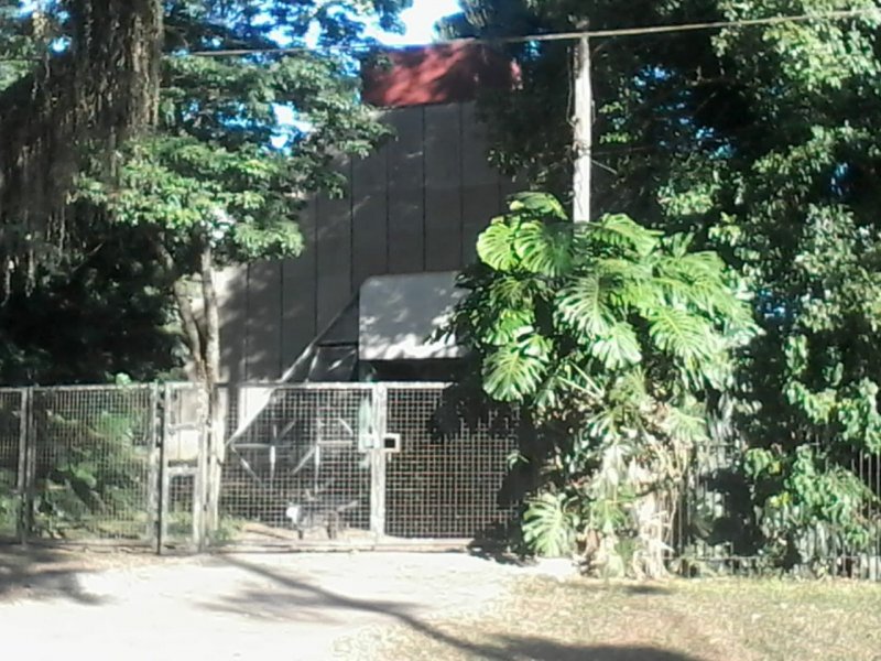 Terreno à venda Cristo Rei com 427m² e  quartos por R$ 1.000.000 - 674203343-img-20190806-wa0001.jpg