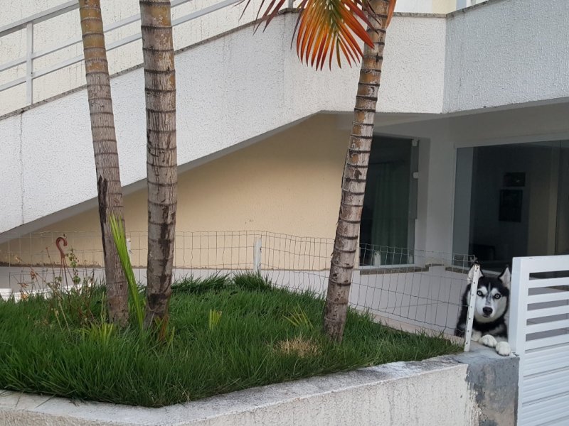 Casa à venda Tremembé com 150m² e 3 quartos por R$ 750.000 - 13523842-20190806-183806.jpg