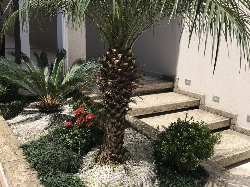 Casa à venda Vila Amália (Zona Norte) com 350m² e 3 quartos por R$ 1.500.000 - 657402143-ecc55857-25c8-47e2-a2f9-4e6b96ea353d.jpeg