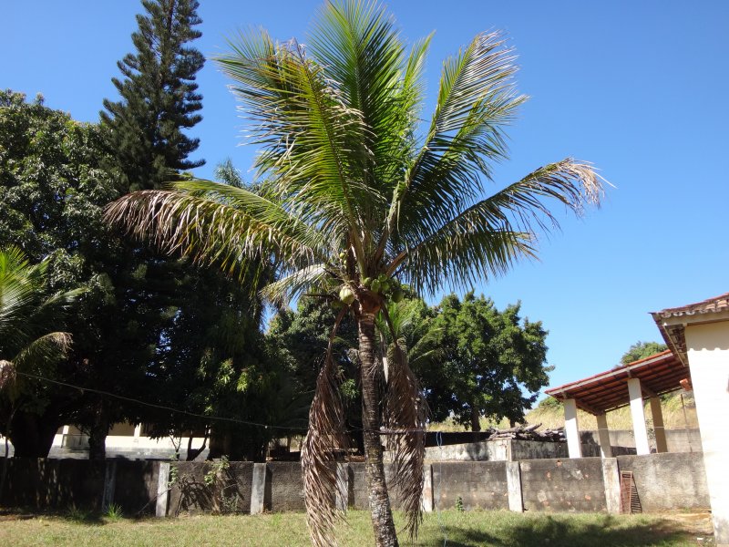 Apartamento à venda Ceilândia com 78000m² e 5 quartos por R$ 1.000.000 - 106266657-dsc01719.JPG