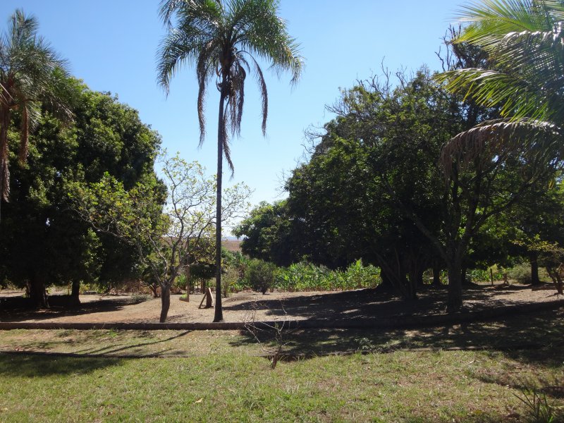 Apartamento à venda Ceilândia com 78000m² e 5 quartos por R$ 1.000.000 - 552757104-dsc01633-copia.JPG