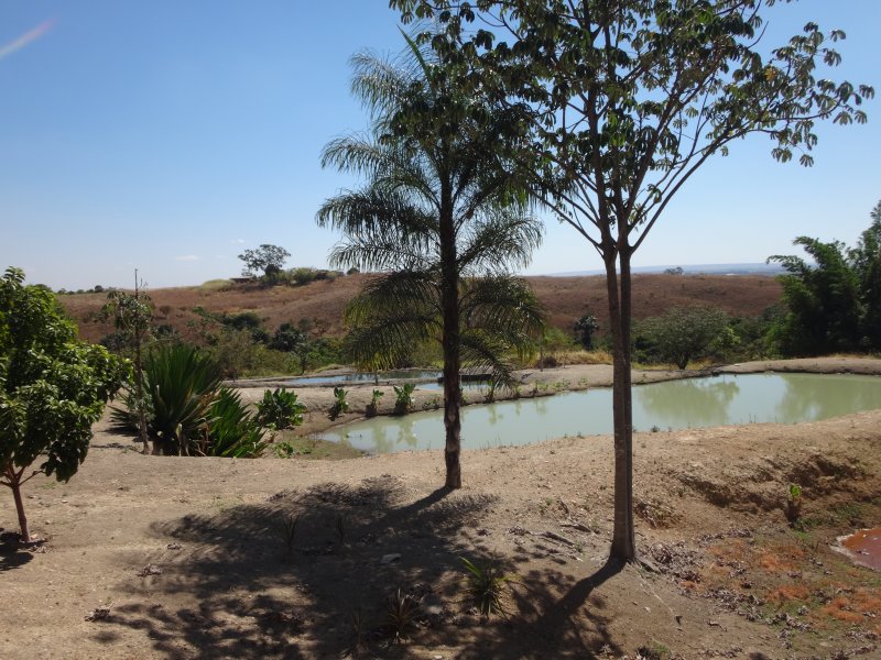 Apartamento à venda Ceilândia com 78000m² e 5 quartos por R$ 1.000.000 - 585437804-dsc01703.JPG