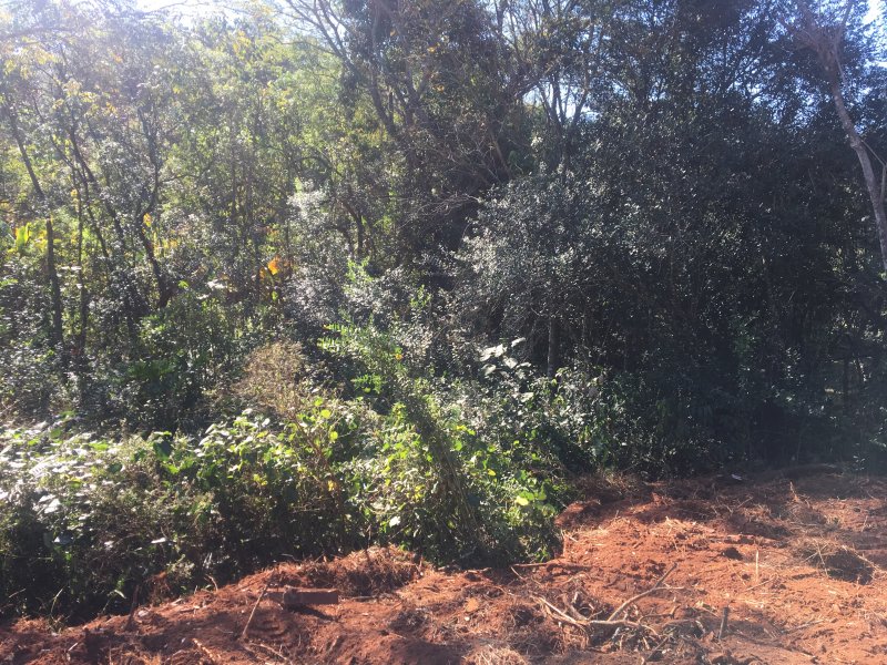 Terreno à venda Jardim Estancia Brasil com 1580m² e  quartos por R$ 350.000 - 1288552525-67672d4a-e711-4bfc-a867-9ba8a323f4f6.jpeg