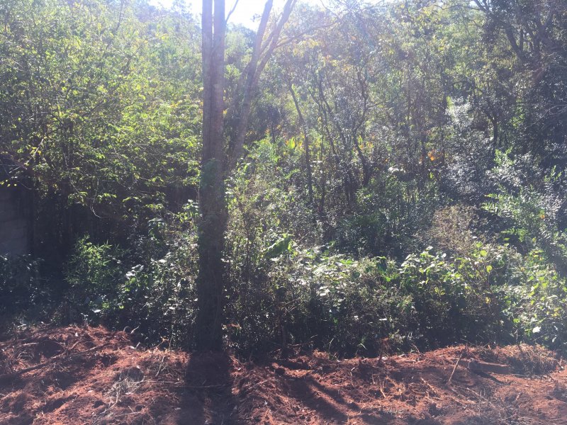 Terreno à venda Jardim Estancia Brasil com 1580m² e  quartos por R$ 350.000 - 207756671-e620b110-9fc4-46c6-8c5e-0c9438750c30.jpeg