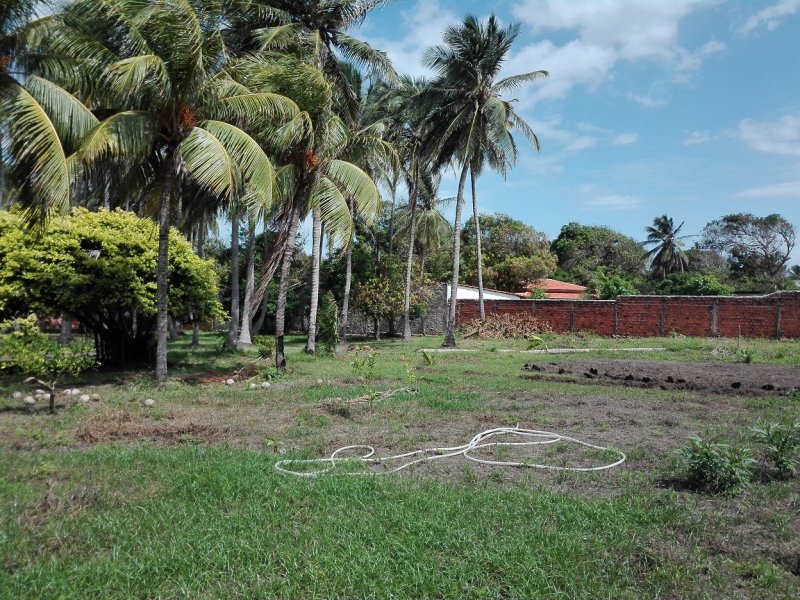Chácara à venda Panaquatira  com 7000m² e 3 quartos por R$ 1.200.000 - 1190779068-img-20170121-101150a.jpg