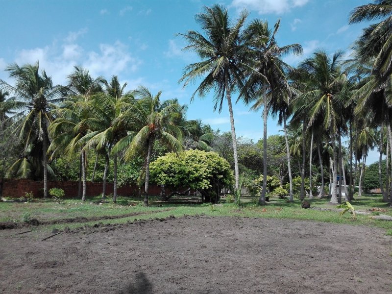 Chácara à venda Panaquatira  com 7000m² e 3 quartos por R$ 1.200.000 - 1283975148-img-20170121-101304a.jpg