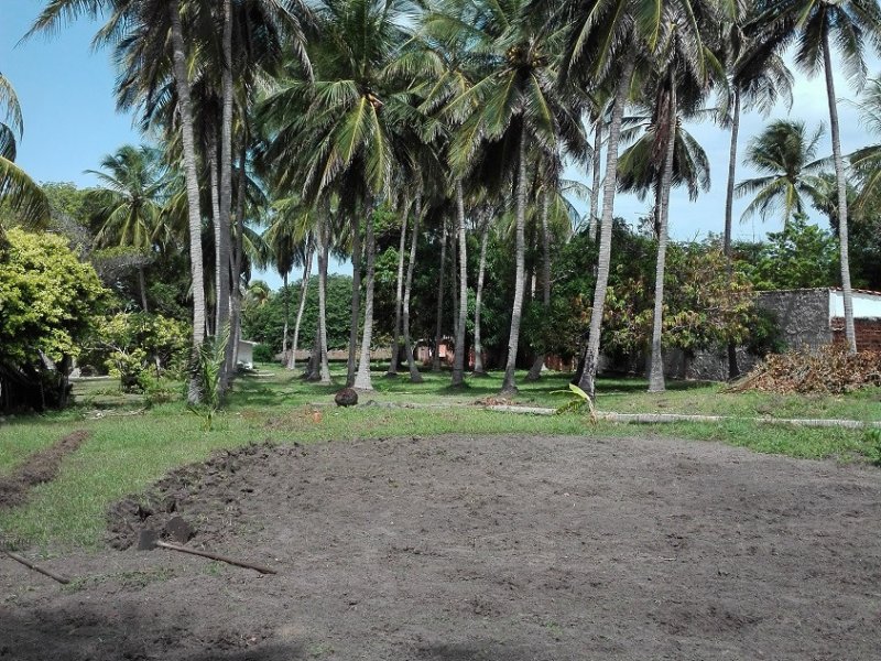 Chácara à venda Panaquatira  com 7000m² e 3 quartos por R$ 1.200.000 - 43224249-img-20170121-101234a.jpg