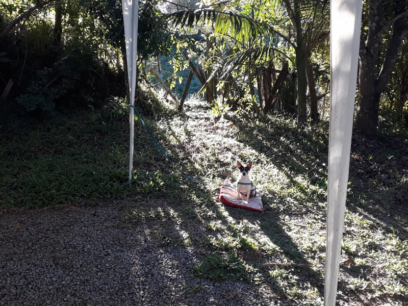 Terreno à venda centro  com 3m² e  quartos por R$ 350.000 - 1894392775-20190417-171110.jpg