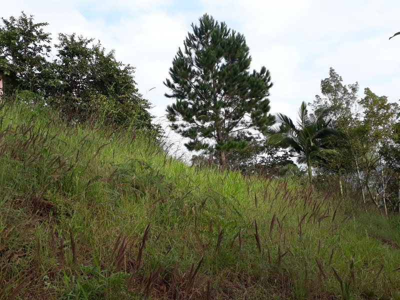 Terreno à venda centro  com 3m² e  quartos por R$ 350.000 - 1900319418-20190609-090518.jpg