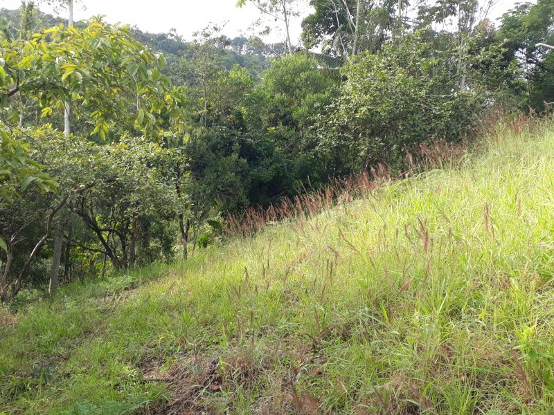 Terreno à venda centro  com 3m² e  quartos por R$ 350.000 - 2121467445-20190609-090542.jpg