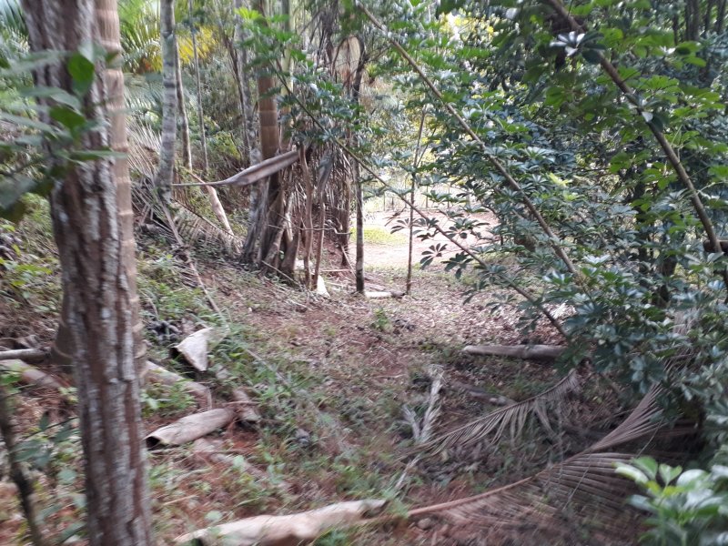 Terreno à venda centro  com 3m² e  quartos por R$ 350.000 - 572987201-20190609-090625.jpg