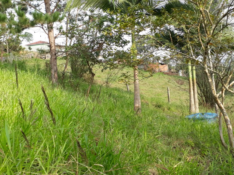 Terreno à venda centro  com 3m² e  quartos por R$ 350.000 - 768364889-20190609-090537.jpg