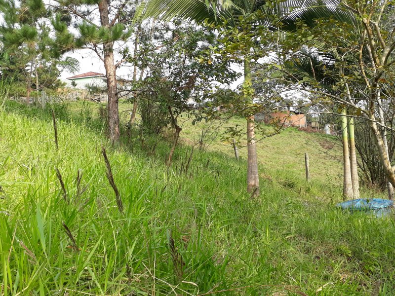 Terreno à venda centro  com 3m² e  quartos por R$ 350.000 - 816840403-20190609-090536.jpg