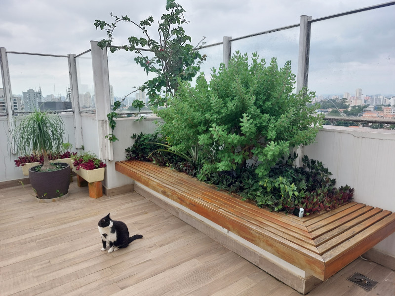 Cobertura à venda Jardim da Saúde com 200m² e 4 quartos por R$ 1.700.000 - 1235578042-20240120-152946.jpg