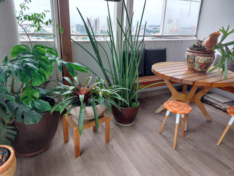 Cobertura à venda Jardim da Saúde com 200m² e 4 quartos por R$ 1.700.000 - 1512988840-20240120-152938.jpg