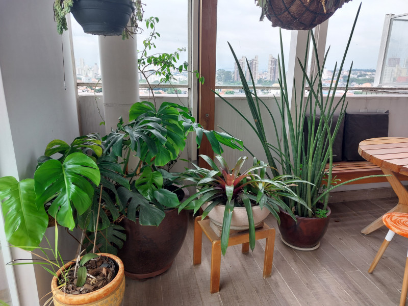 Cobertura à venda Jardim da Saúde com 200m² e 4 quartos por R$ 1.700.000 - 648070831-20240120-152940.jpg