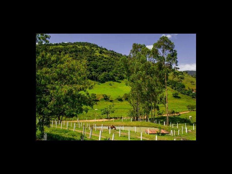 Chacara à venda Centro com 21000m² e 3 quartos por R$ 700.000 - 1092160524-vista.jpg