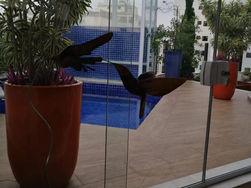 Apartamento à venda Indianópolis com 250m² e 3 quartos por R$ 3.230.000 - whatsapp-image-2020-06-11-at-204102-2.jpeg