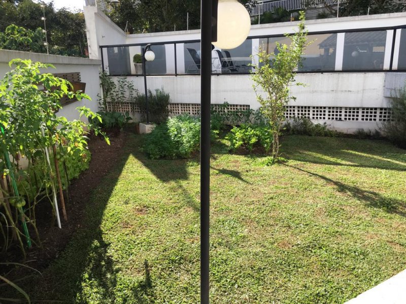 Apartamento à venda Vila Suzana com 80m² e 3 quartos por R$ 480.000 - 434887727-whatsapp-image-2019-07-19-at-16.jpeg