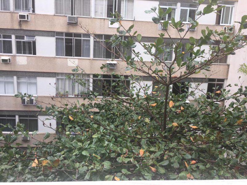 Apartamento à venda Flamengo com 85m² e 2 quartos por R$ 570.000 - 449856248-img-20190826-wa0025.jpg