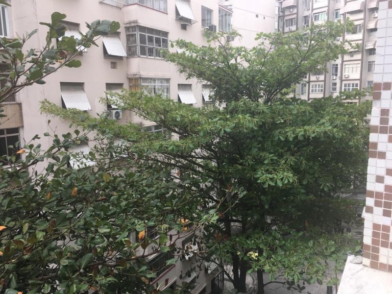 Apartamento à venda Flamengo com 85m² e 2 quartos por R$ 570.000 - 751829995-img-20190826-wa0027.jpg