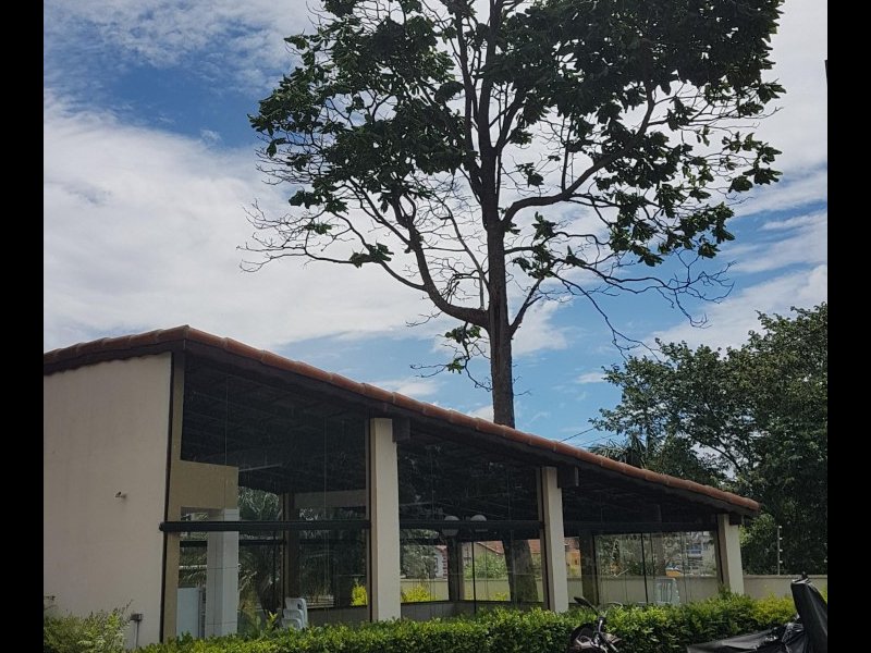 Apartamento à venda Vila Basiléia com 55m² e 3 quartos por R$ 375.000 - 1306372039-churrasqueira.jpg