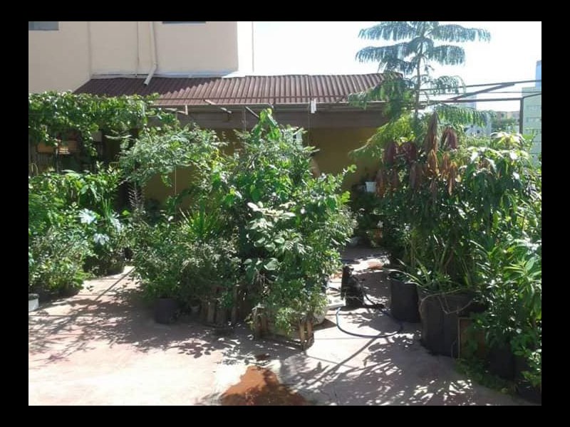 imóvel com 200m² - Grajaú - Belo Horizonte