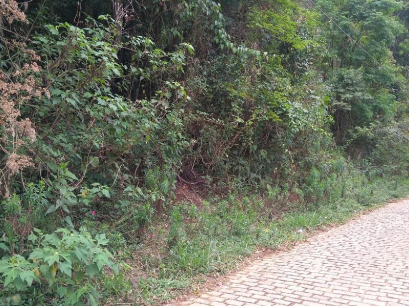 Terreno à venda Parque do Imbui com 1m² e  quartos por R$ 120.000 - 1385263414-img-20190823-wa0055.jpg