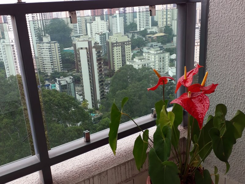 Apartamento à venda Vila Andrade com 87m² e 3 quartos por R$ 649.000 - 1309682023-20190601-103522.jpg