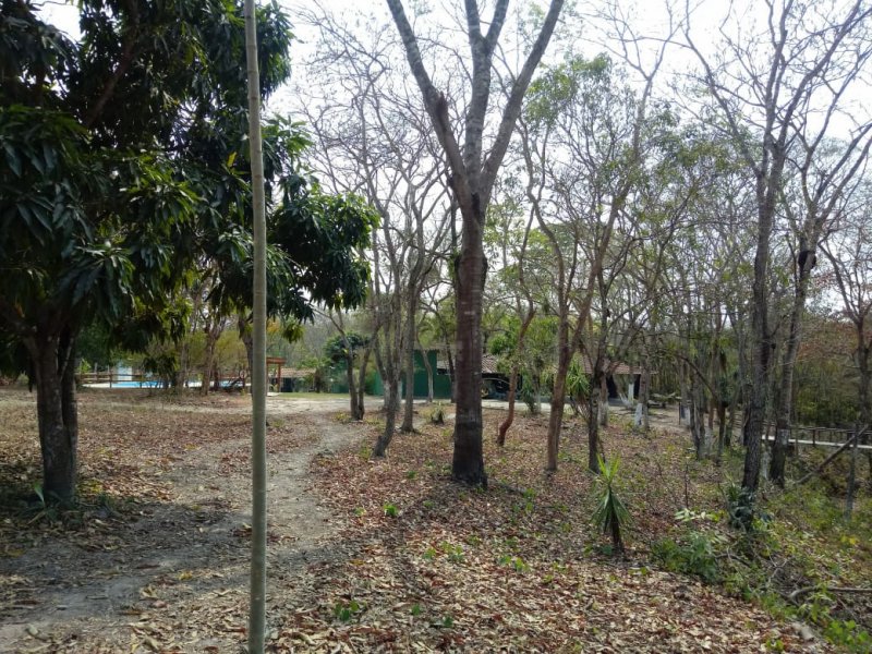 Terreno à venda Coxipó da Ponte com 260m² e  quartos por R$ 100.000 - 1288678284-img-20190822-wa0061.jpg