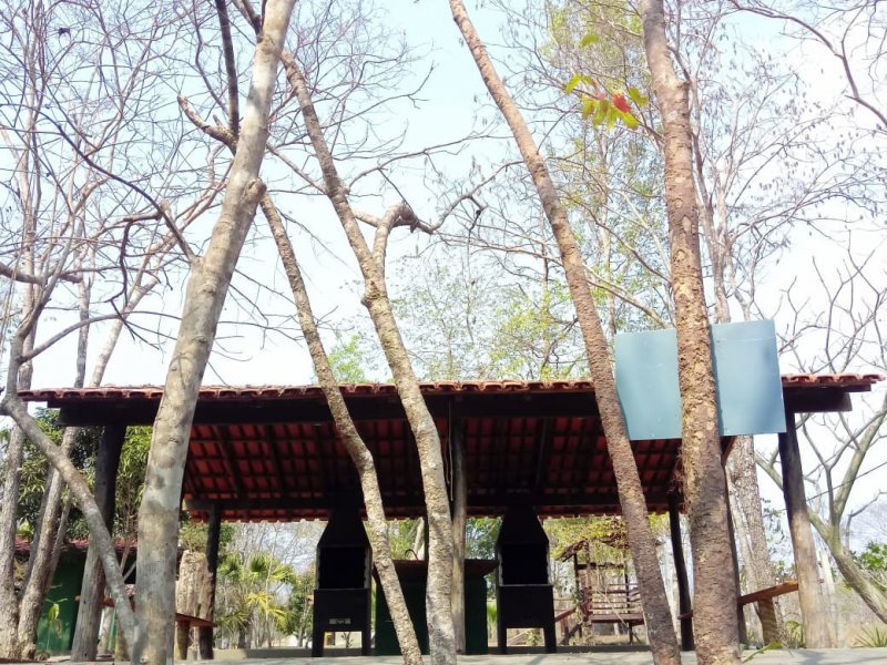 Terreno à venda Coxipó da Ponte com 260m² e  quartos por R$ 100.000 - 1315722080-img-20190822-wa0040.jpg