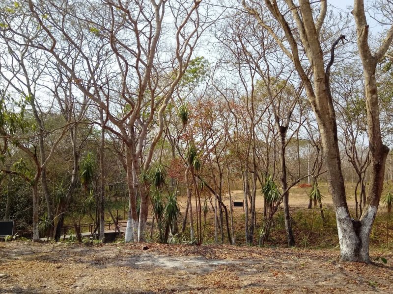 Terreno à venda Coxipó da Ponte com 260m² e  quartos por R$ 100.000 - 218423949-img-20190822-wa0052.jpg
