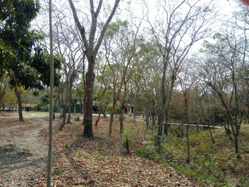 Terreno à venda Coxipó da Ponte com 260m² e  quartos por R$ 100.000 - 527406074-img-20190822-wa0070.jpg