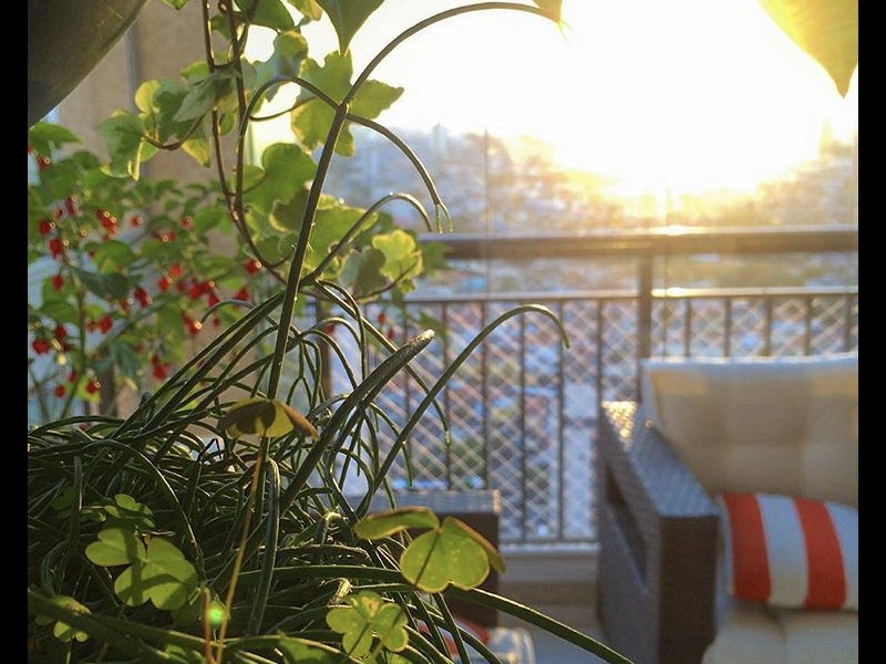 imóvel com 84m² - Vila Vera - São Paulo