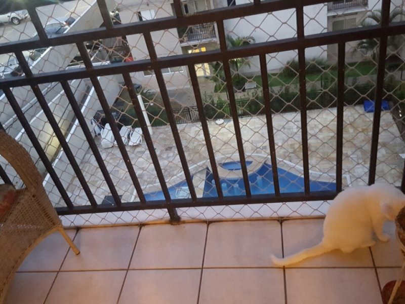 imóvel com 52m² - Belenzinho - São Paulo