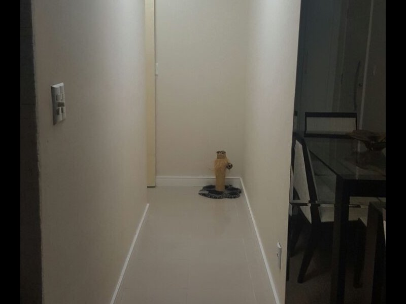 imóvel com 52m² - Belenzinho - São Paulo
