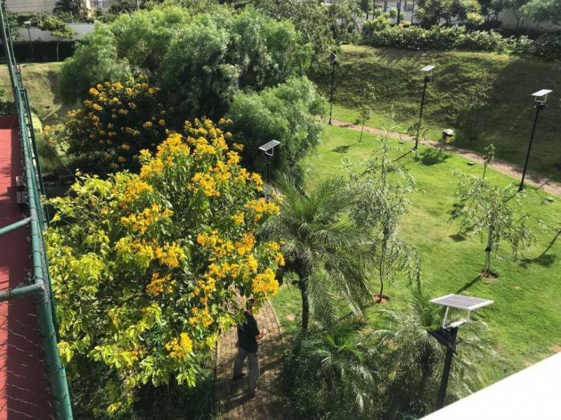 imóvel com 66m² - Jardim Piqueroby - São Paulo