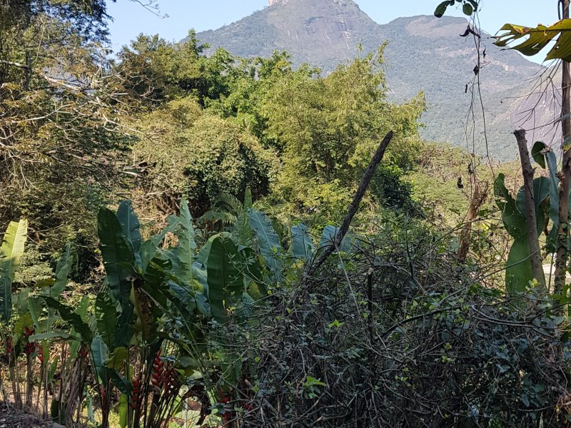 Casa à venda Itanhangá com 2100m² e 2 quartos por R$ 945.000 - 1999950787-20190812-135034.jpg