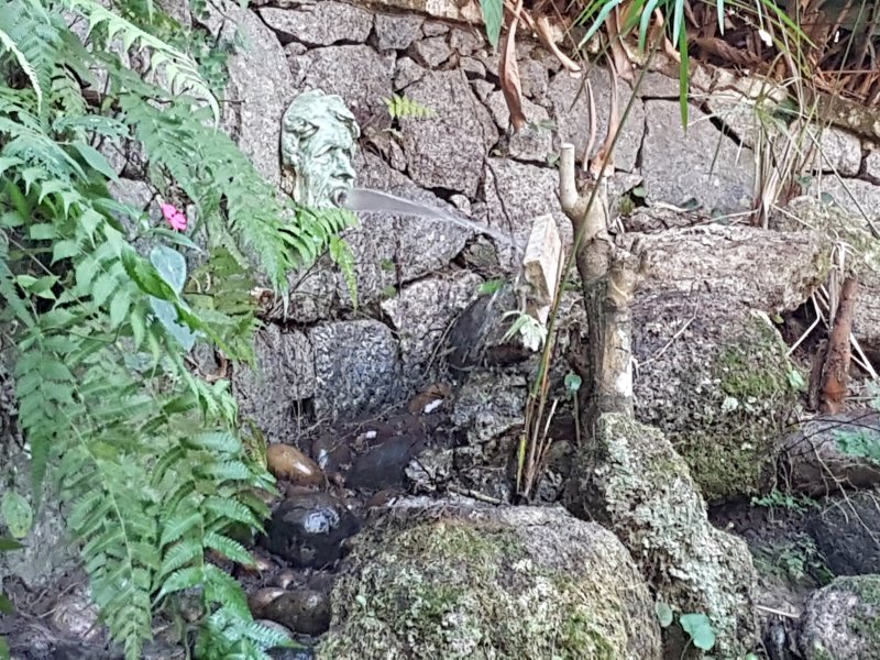 Casa à venda Itanhangá com 2100m² e 2 quartos por R$ 945.000 - 610360801-20190816-095410.jpg