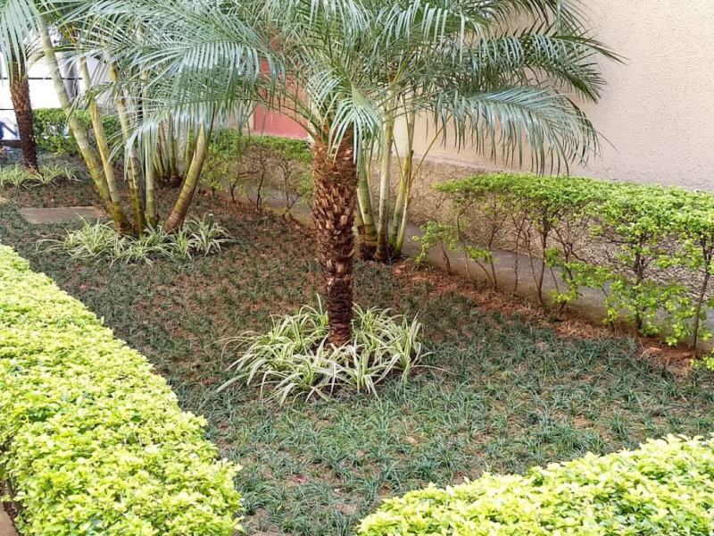 imóvel com 56m² - Campo Limpo - São Paulo