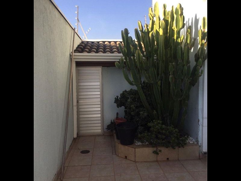 Casa à venda Jardim Chapadão com 300m² e 3 quartos por R$ 750.000 - 355965342-24-quintal.JPEG
