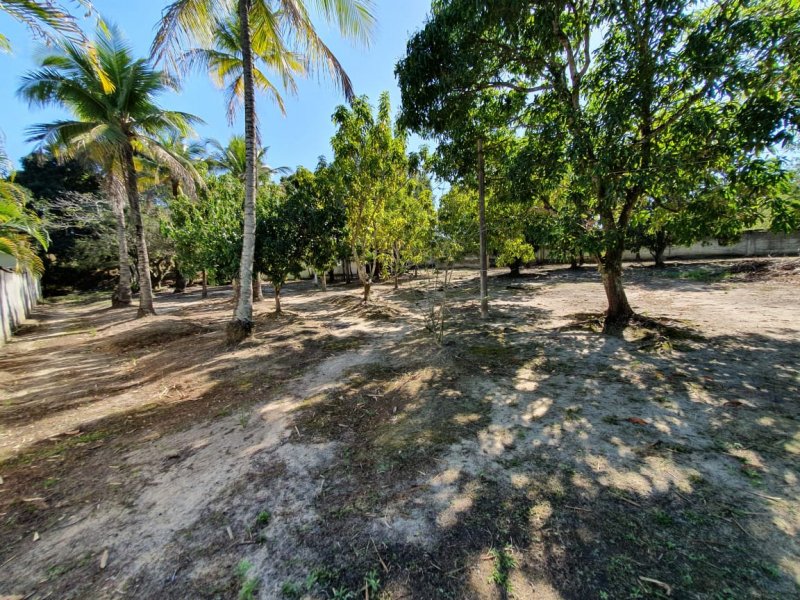Sítio à venda Vl. Americana com 60400m² e 15 quartos por R$ 1.350.000 - 1452504677-whatsapp-image-2019-08-17-at-13.jpeg