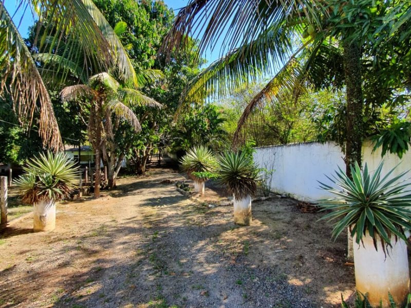 Sítio à venda Vl. Americana com 60400m² e 15 quartos por R$ 1.350.000 - 2113794218-whatsapp-image-2019-08-17-at-13.jpeg