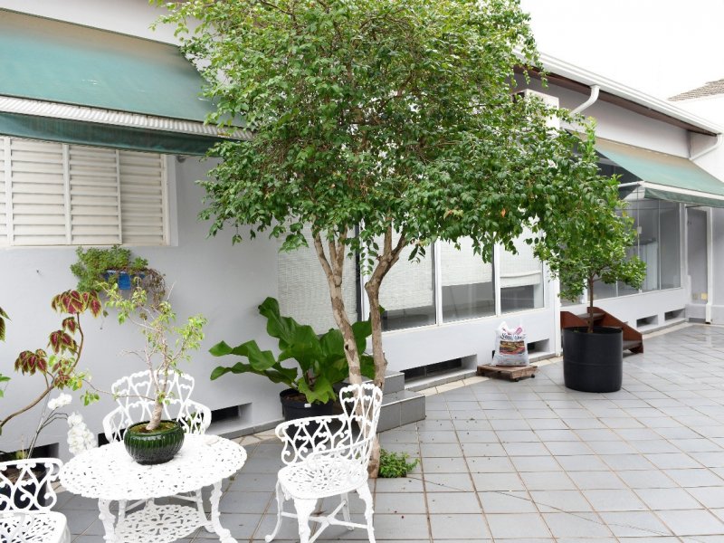 imóvel com 289m² - Jardim Chapadão - Campinas