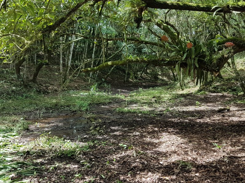 Terreno à venda Barro Prêto com 12300m² e  quartos por R$ 1.150.000 - 176759726-20190109-114337.jpg