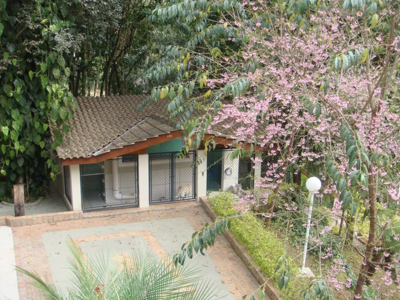 Casa de condomínio à venda Centro com 450m² e 4 quartos por R$ 1.500.000 - 1101733025-11.JPG
