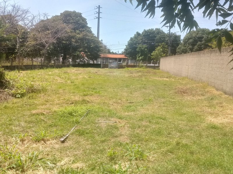 Terreno à venda Timbu com 9538m² e  quartos por R$ 750.000 - 1256868384-20190817-104213-hdr.jpg