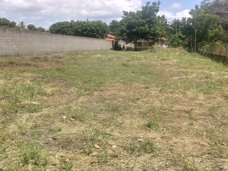 Terreno à venda Timbu com 9538m² e  quartos por R$ 750.000 - 290334499-20190817-103340-hdr.jpg