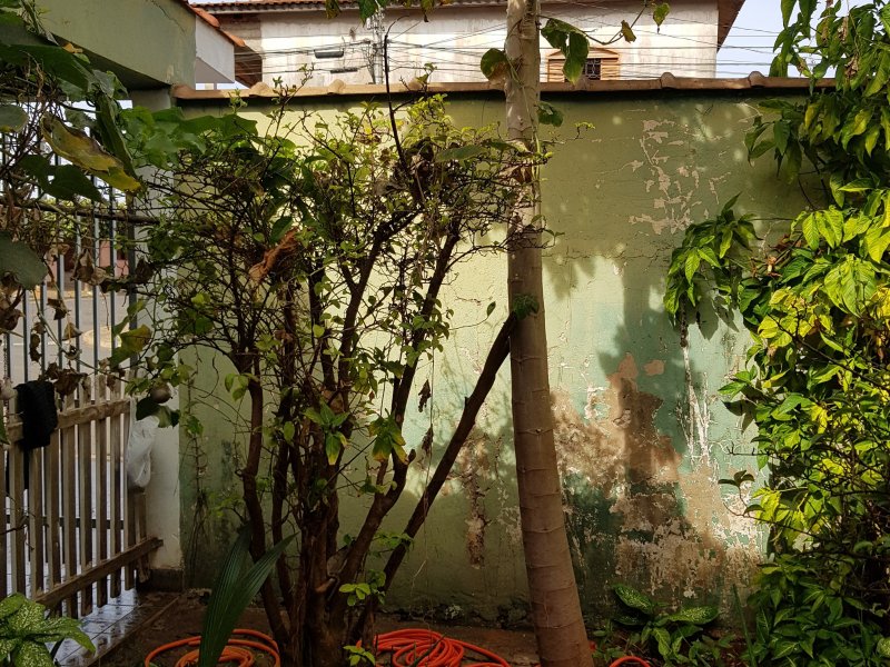 Casa à venda Ipiranga com 118m² e 2 quartos por R$ 290.000 - 1129059369-20190702-134435.jpg